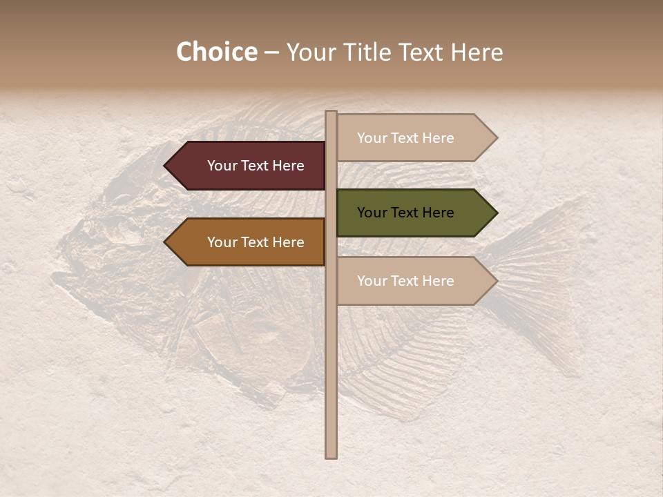 Evolve Ammonite Geology PowerPoint Template