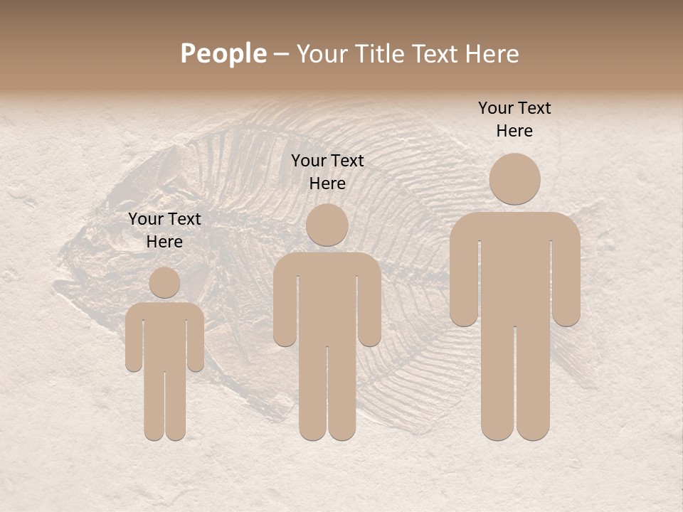 Evolve Ammonite Geology PowerPoint Template