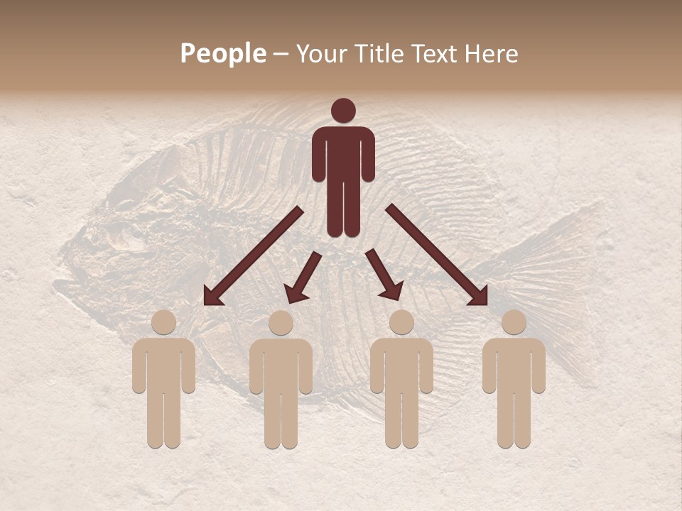 Evolve Ammonite Geology PowerPoint Template