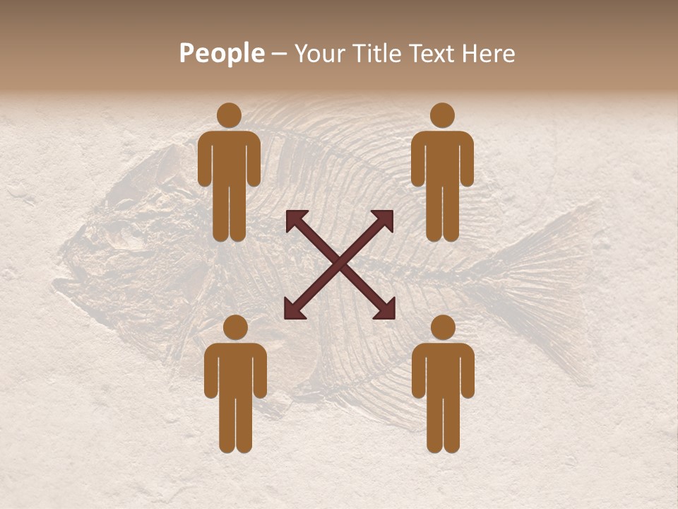 Evolve Ammonite Geology PowerPoint Template