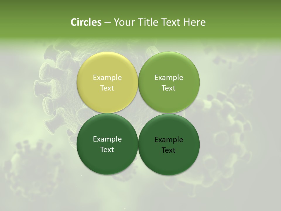 Prometaphase Biology Life PowerPoint Template