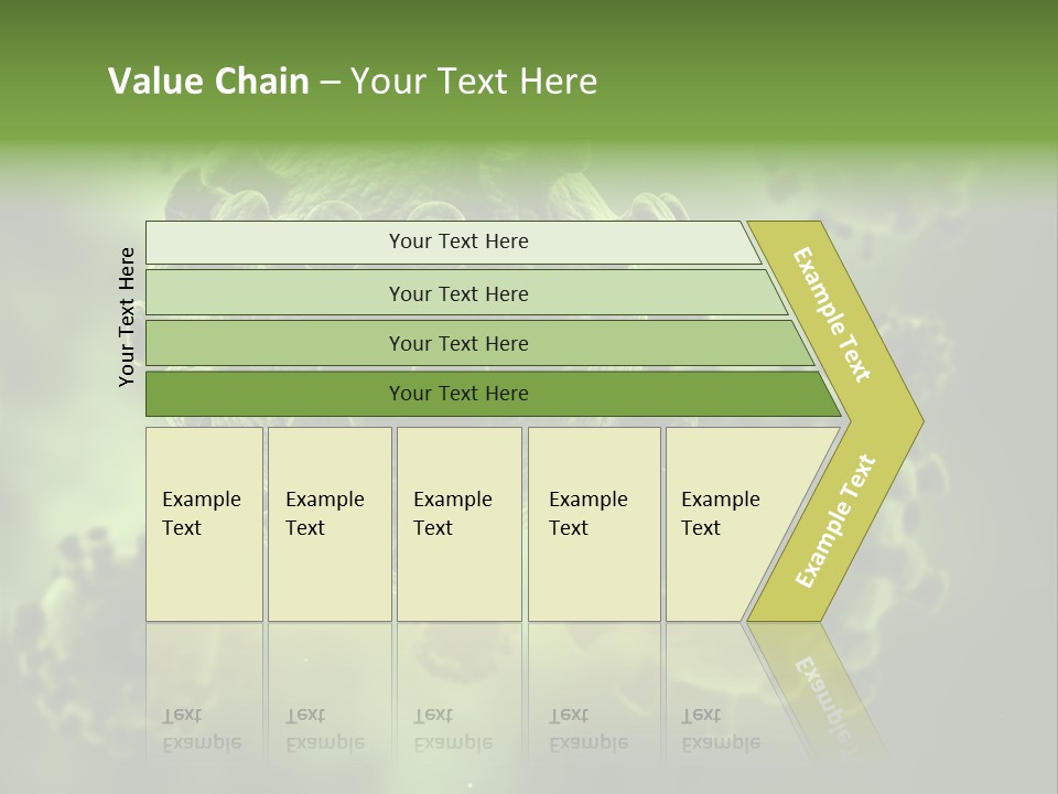 Prometaphase Biology Life PowerPoint Template