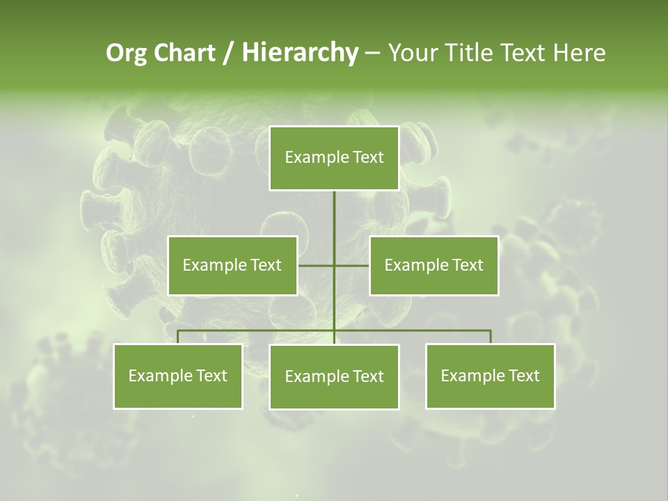 Prometaphase Biology Life PowerPoint Template