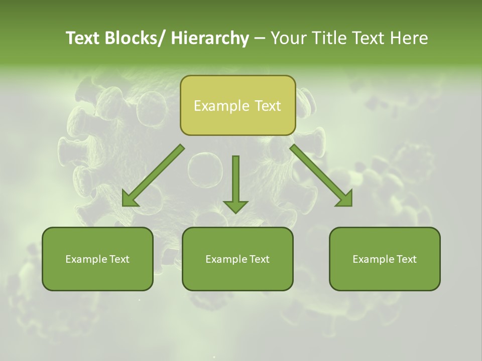 Prometaphase Biology Life PowerPoint Template
