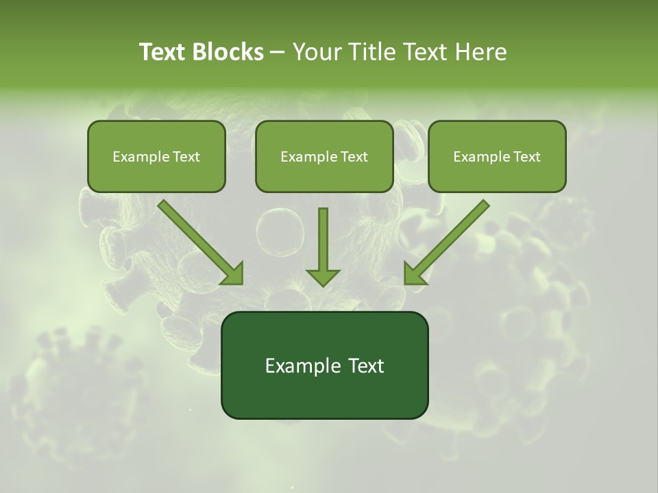 Prometaphase Biology Life PowerPoint Template