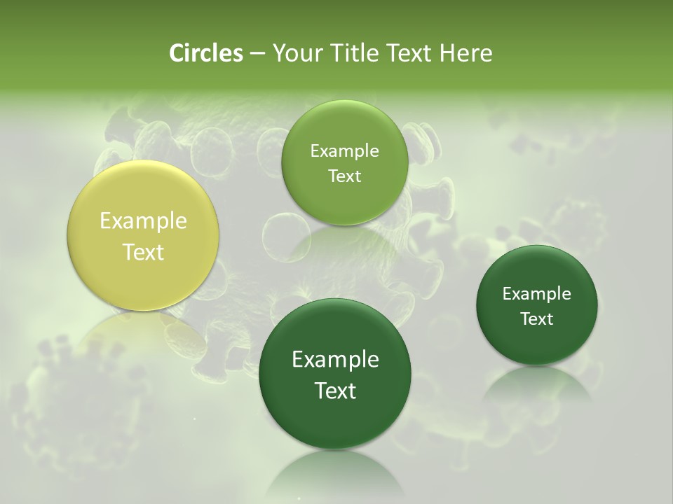 Prometaphase Biology Life PowerPoint Template
