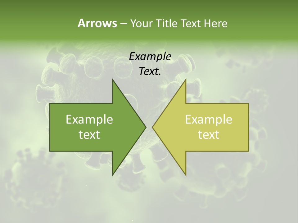 Prometaphase Biology Life PowerPoint Template