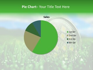 Spot Meadow Smog PowerPoint Template