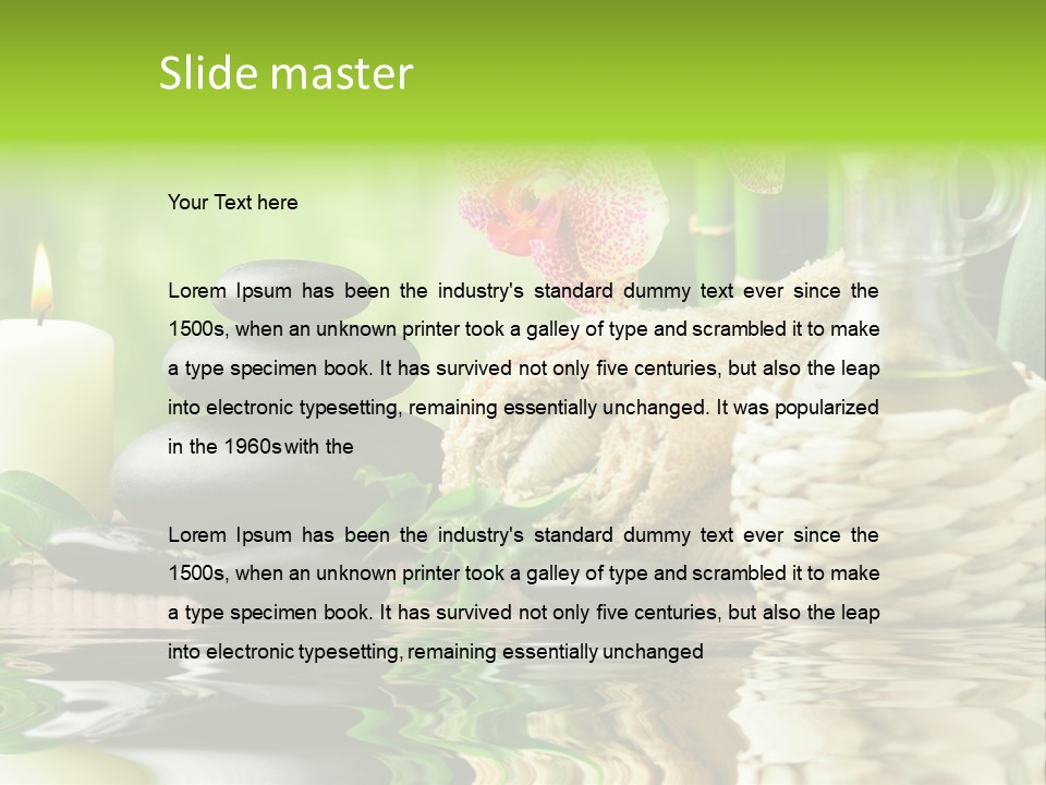 Pebble Close Up Life PowerPoint Template