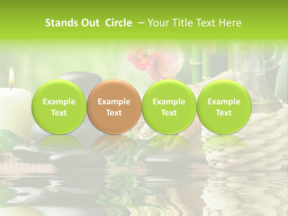 Pebble Close Up Life PowerPoint Template