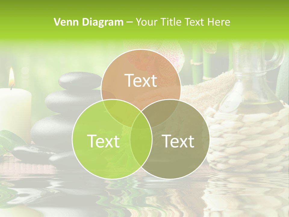 Pebble Close Up Life PowerPoint Template