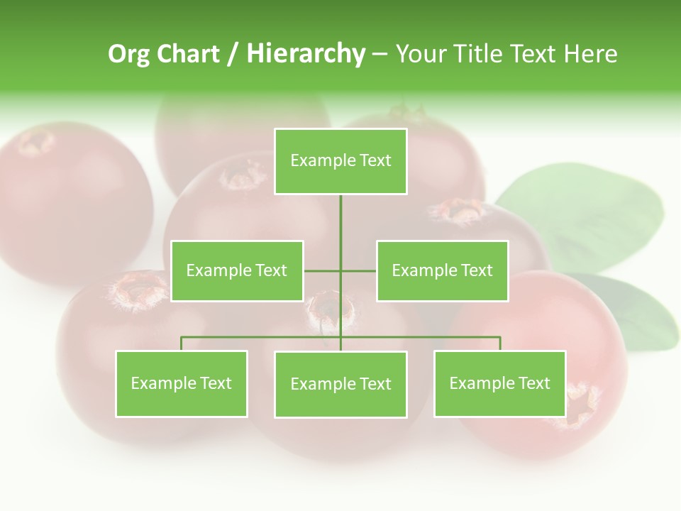 Drink Red Berry PowerPoint Template