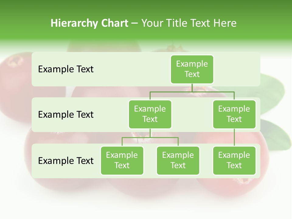 Drink Red Berry PowerPoint Template
