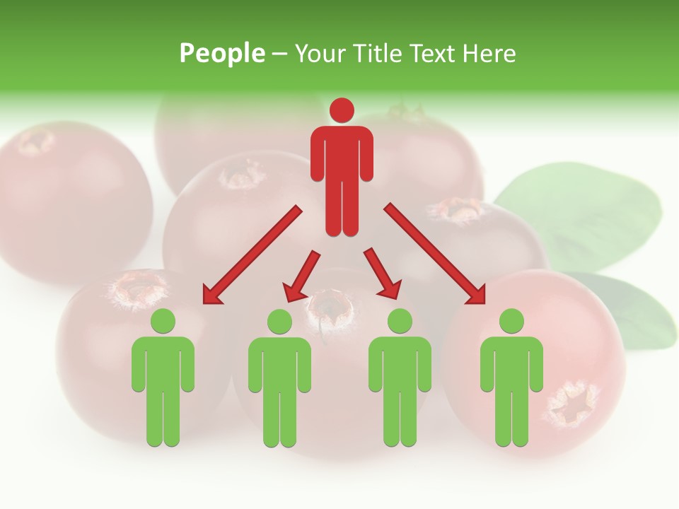 Drink Red Berry PowerPoint Template