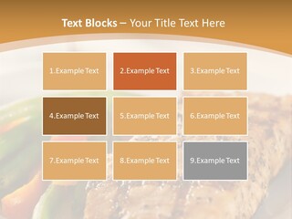 Colour Plate Salmon PowerPoint Template