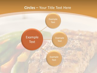 Colour Plate Salmon PowerPoint Template