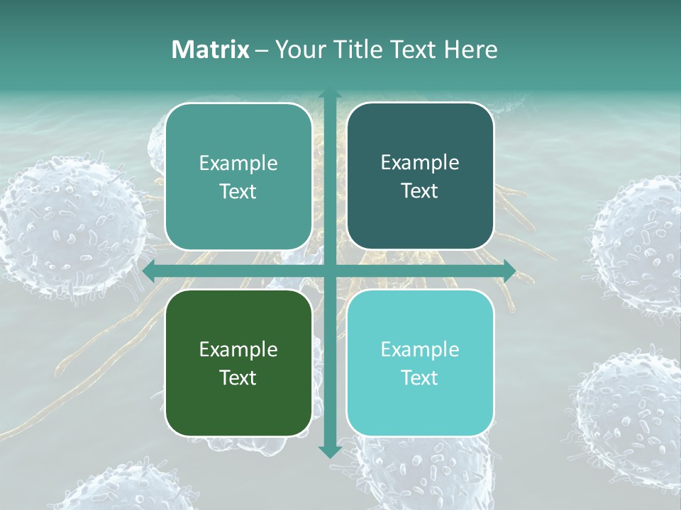 Crayfish Antibody Credit PowerPoint Template
