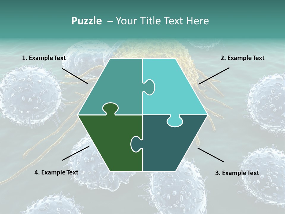 Crayfish Antibody Credit PowerPoint Template