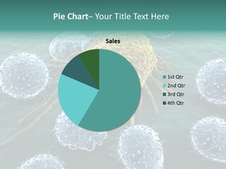 Crayfish Antibody Credit PowerPoint Template