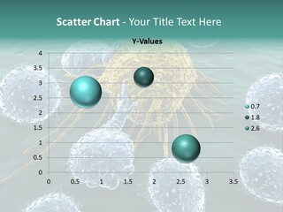 Crayfish Antibody Credit PowerPoint Template