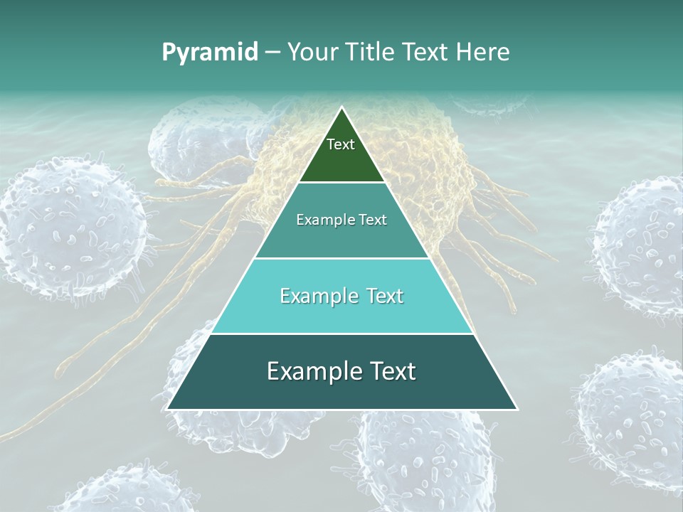 Crayfish Antibody Credit PowerPoint Template
