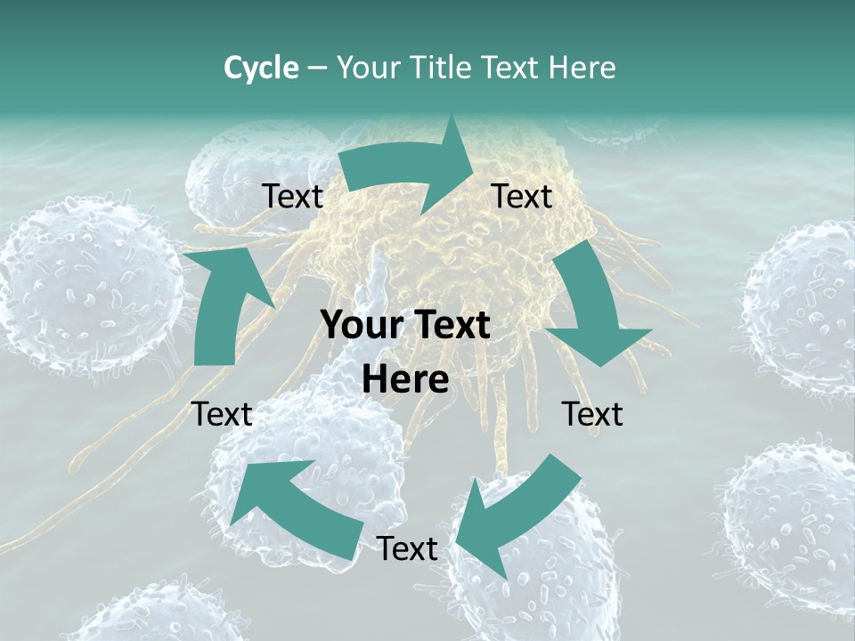 Crayfish Antibody Credit PowerPoint Template