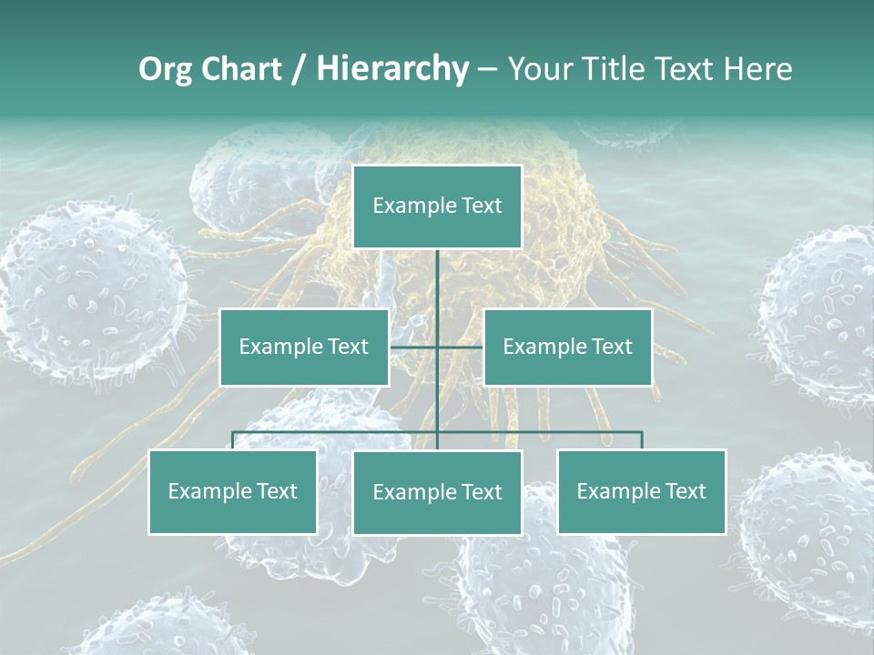 Crayfish Antibody Credit PowerPoint Template