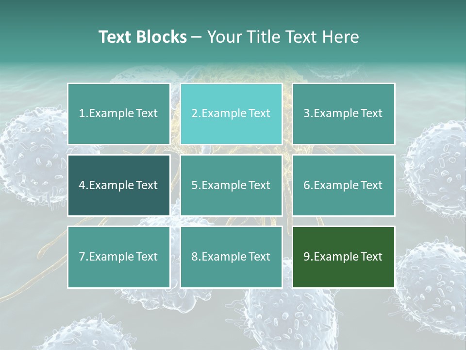 Crayfish Antibody Credit PowerPoint Template