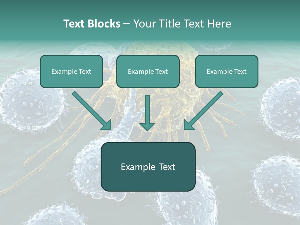 Crayfish Antibody Credit PowerPoint Template