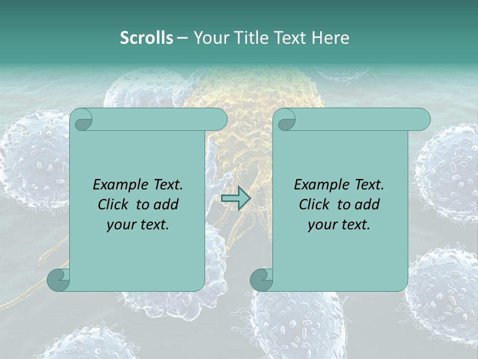 Crayfish Antibody Credit PowerPoint Template