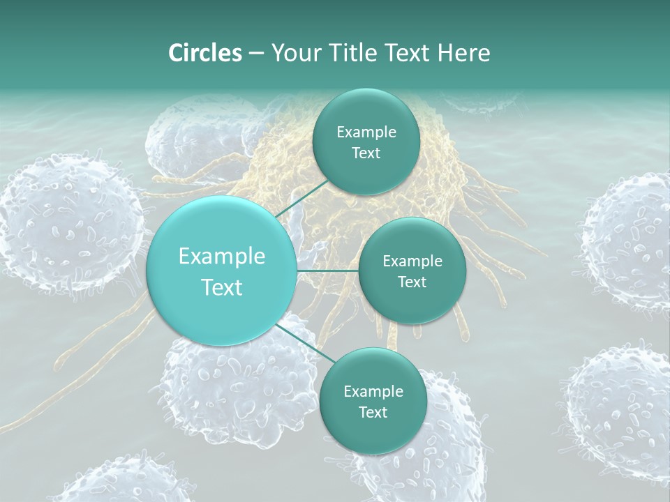 Crayfish Antibody Credit PowerPoint Template