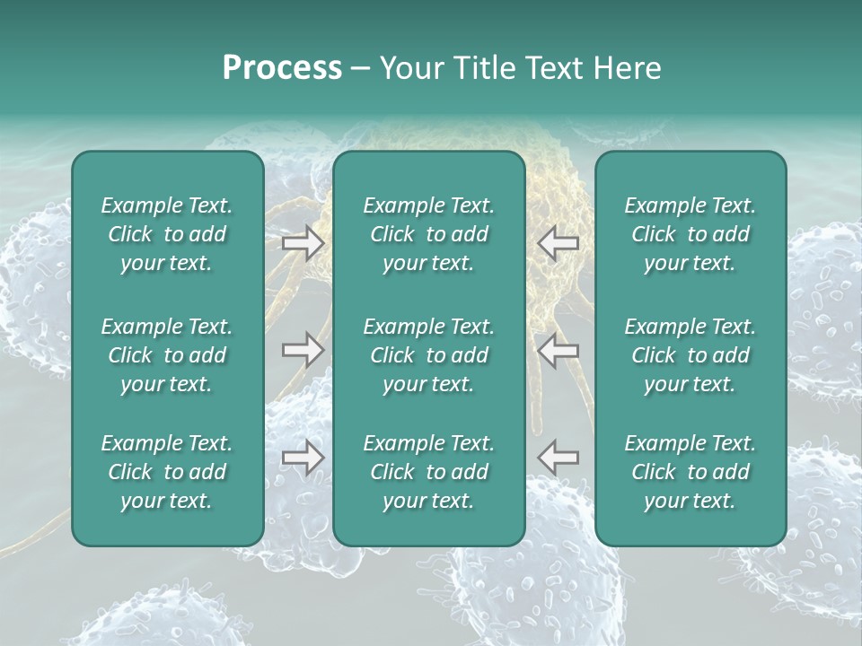 Crayfish Antibody Credit PowerPoint Template