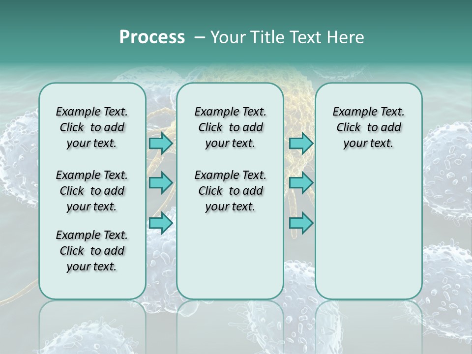 Crayfish Antibody Credit PowerPoint Template