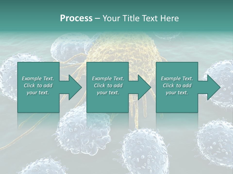Crayfish Antibody Credit PowerPoint Template