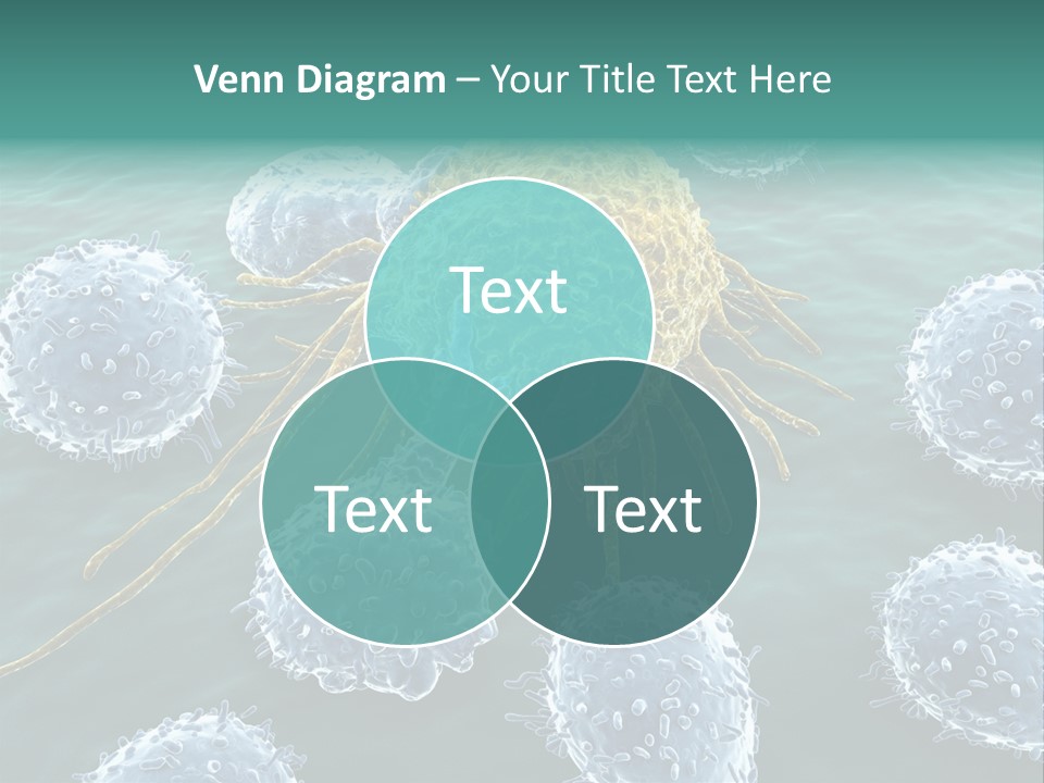 Crayfish Antibody Credit PowerPoint Template
