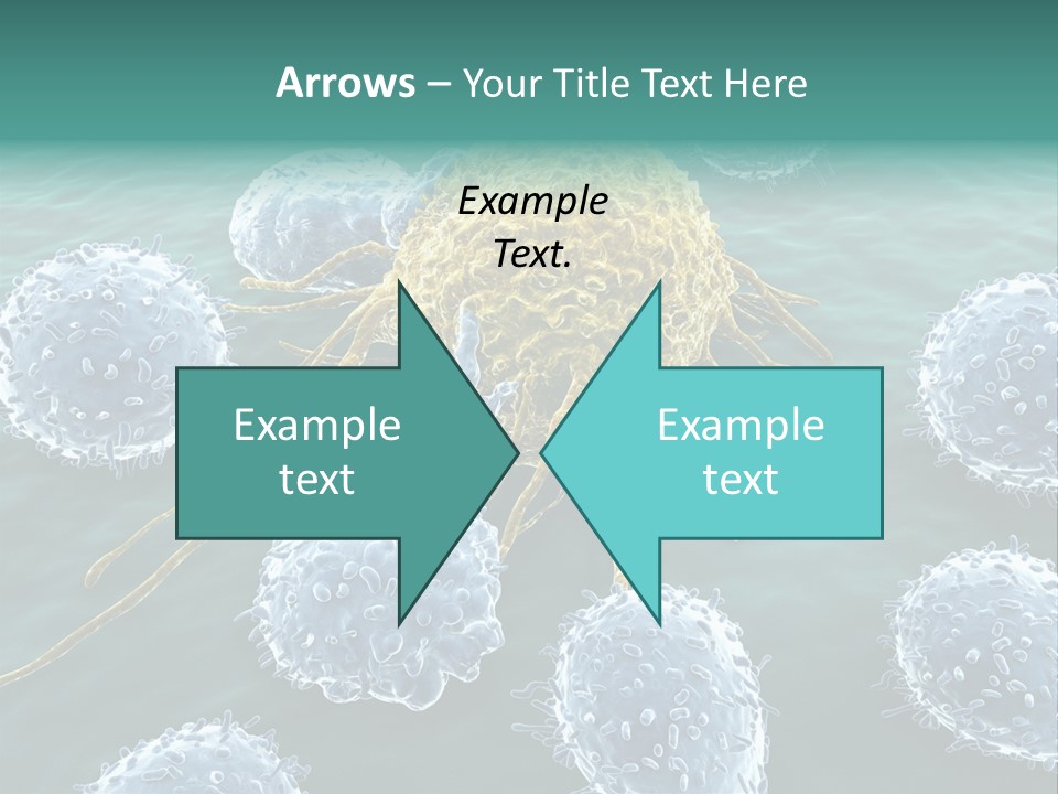 Crayfish Antibody Credit PowerPoint Template