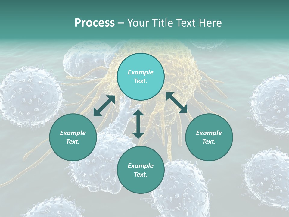 Crayfish Antibody Credit PowerPoint Template