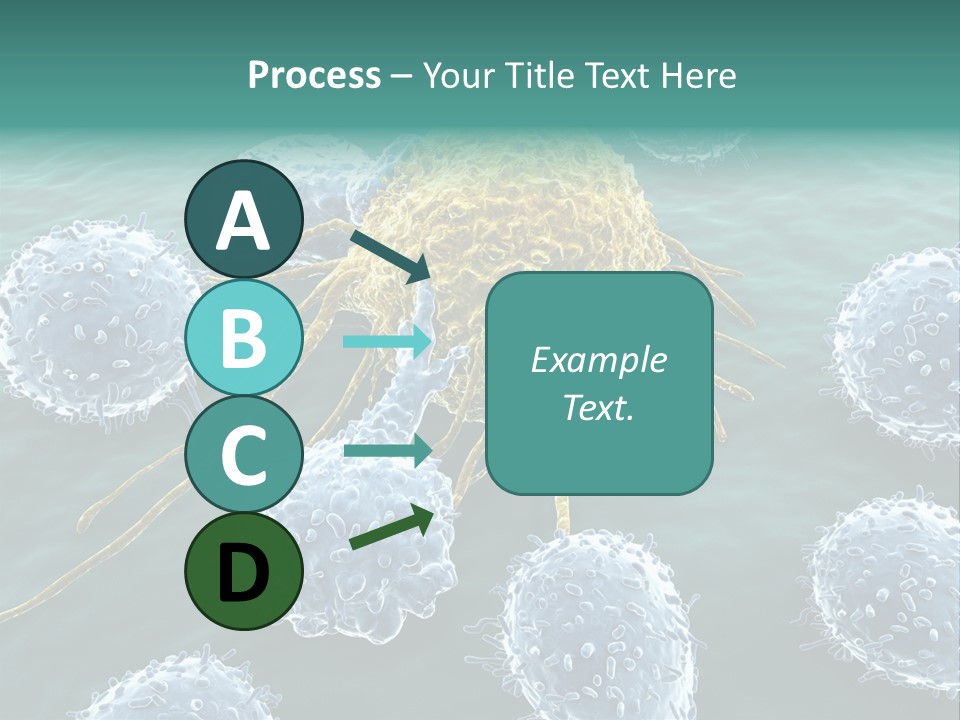Crayfish Antibody Credit PowerPoint Template
