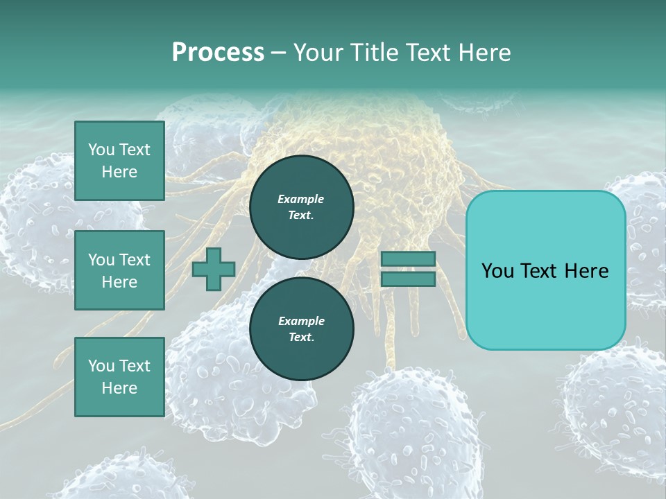 Crayfish Antibody Credit PowerPoint Template