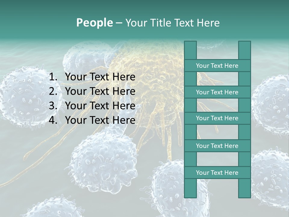 Crayfish Antibody Credit PowerPoint Template