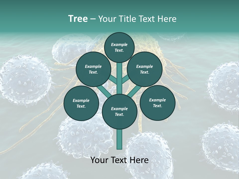 Crayfish Antibody Credit PowerPoint Template