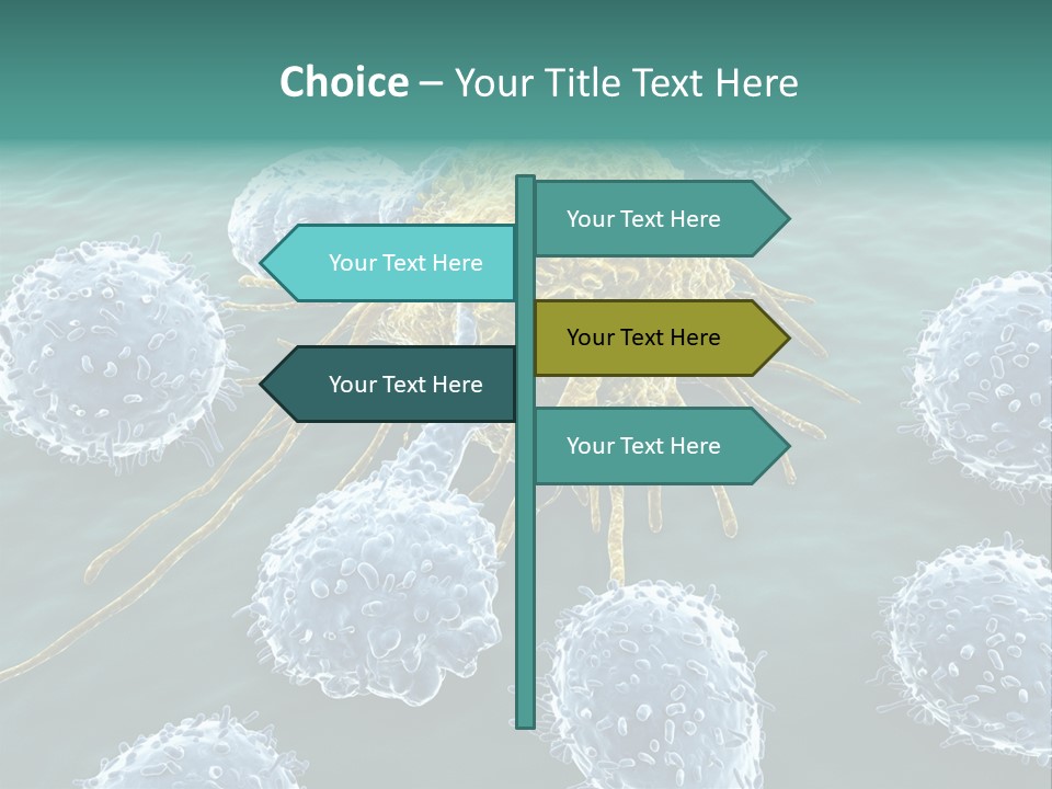Crayfish Antibody Credit PowerPoint Template