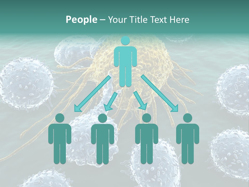 Crayfish Antibody Credit PowerPoint Template