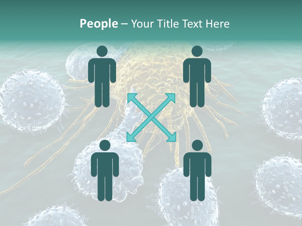 Crayfish Antibody Credit PowerPoint Template