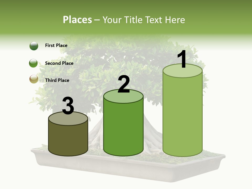 Season Walnut Forest PowerPoint Template