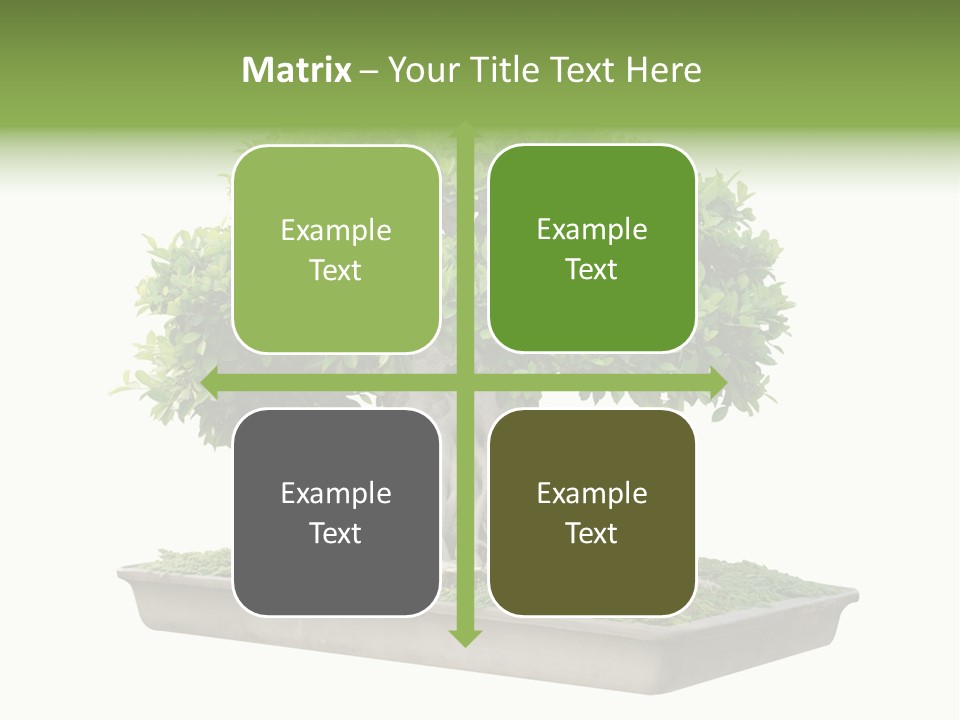 Season Walnut Forest PowerPoint Template