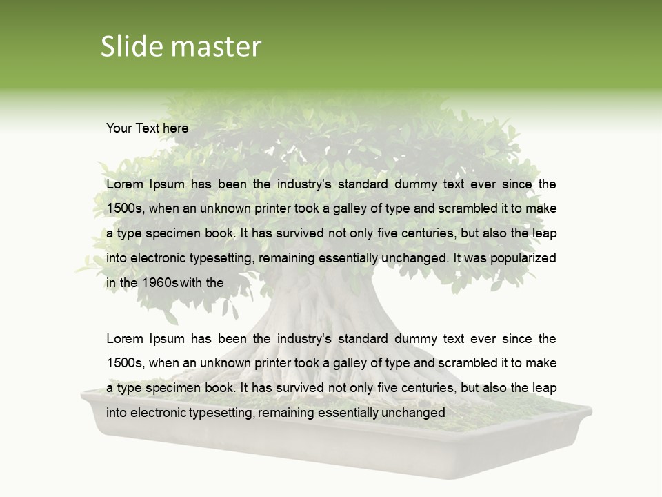 Season Walnut Forest PowerPoint Template