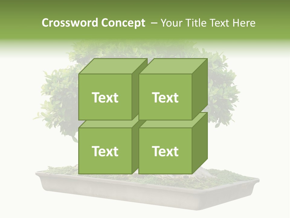 Season Walnut Forest PowerPoint Template