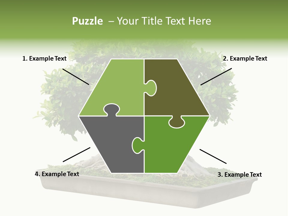 Season Walnut Forest PowerPoint Template