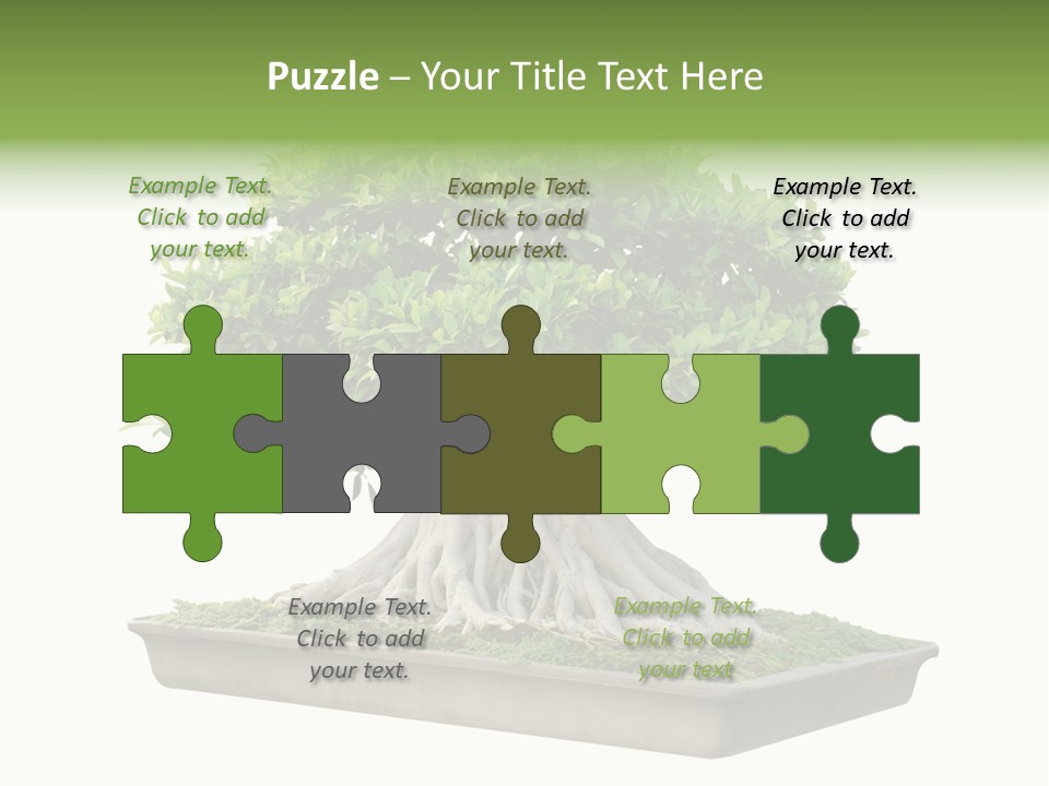 Season Walnut Forest PowerPoint Template